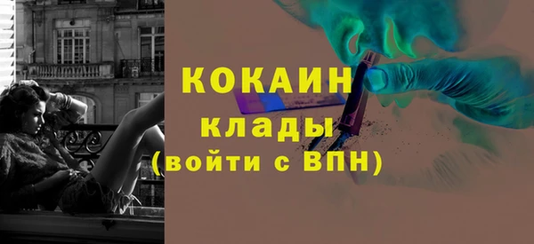 PSILOCYBIN Инта