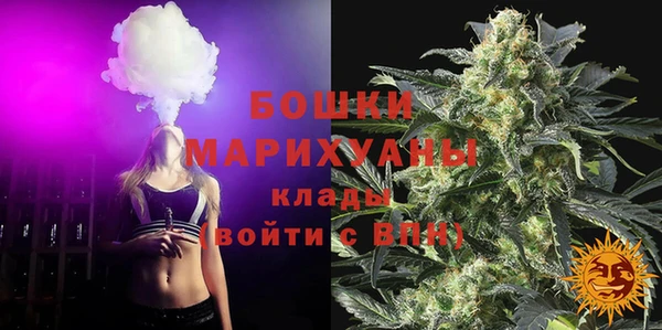 PSILOCYBIN Инта