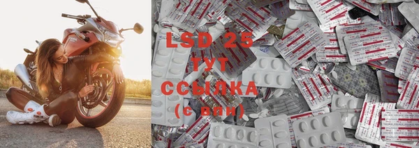 PSILOCYBIN Инта
