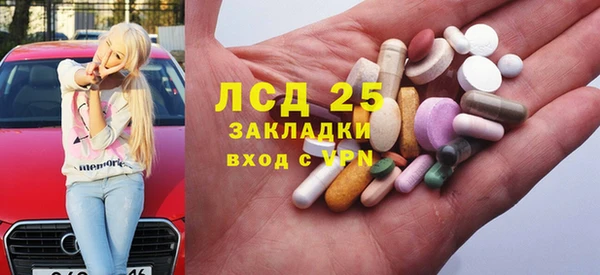PSILOCYBIN Инта