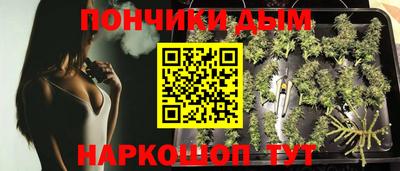 дмт Дубна