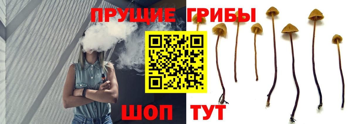 Псилоцибиновые грибы мухоморы  Вход с VPN  Кропоткин 