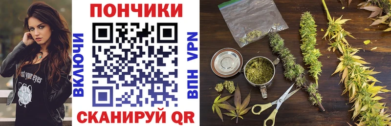 Шишки марихуана конопля  Кропоткин 